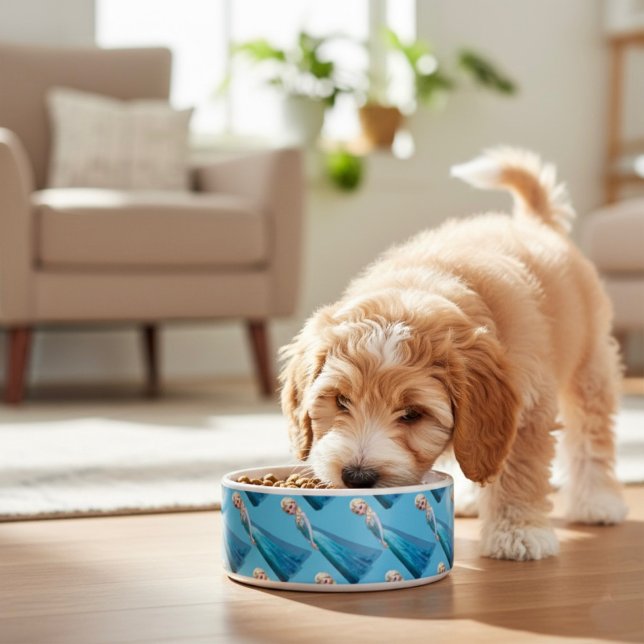 Frozen Napf (Von Creator hochgeladen)