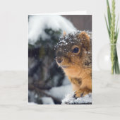 Frozen Nüsse werden bald gut Karte (Vorderseite)