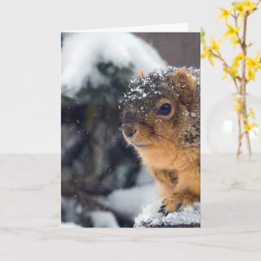 Frozen Nüsse werden bald gut Karte (Gelbe Blume)