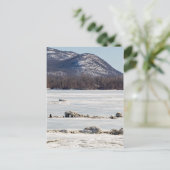 Frozen Postkarte (Stehend Vorderseite)