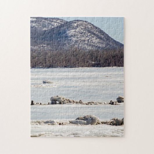 Frozen Puzzle (Vertikal)