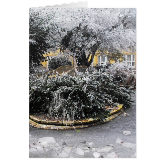 Frozen Teich am Wintermorgen (Vorne)