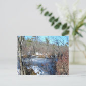 Frozen Wetlands Pond Postkarte (Stehend Vorderseite)