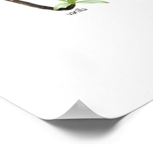 Frucht Alphabet Kids ABC Nursey Food Theme Poster (Ecke)