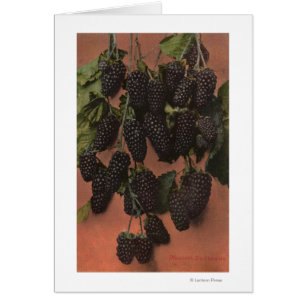 Frucht Chromo Lithographie des Mammuts