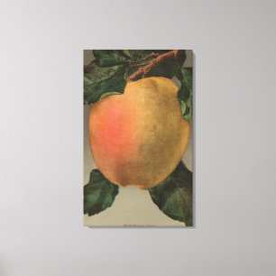 Frucht Chromo Lithographie von Belleflower Apple Leinwanddruck