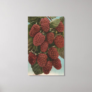 Frucht Chromo Lithographie von LoganberriesState Leinwanddruck