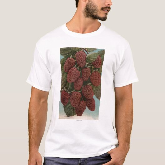 Frucht Chromo Lithographie von LoganberriesState T-Shirt (Vorderseite)