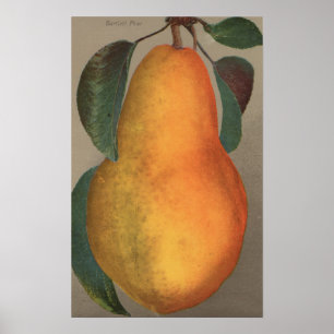 Frucht Chromo Lithographie von Poster