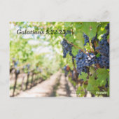 Frucht der Geist-Bibelgedächtnis-Verse Postkarte (Rückseite)