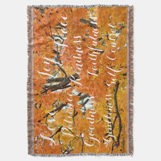 Frucht des Geistes, Inspirational christlicher Decke (Vorderseite Vertikal)