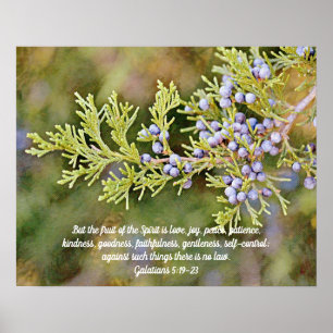 Frucht des Spirit Nature Scripture Foto Art Poster