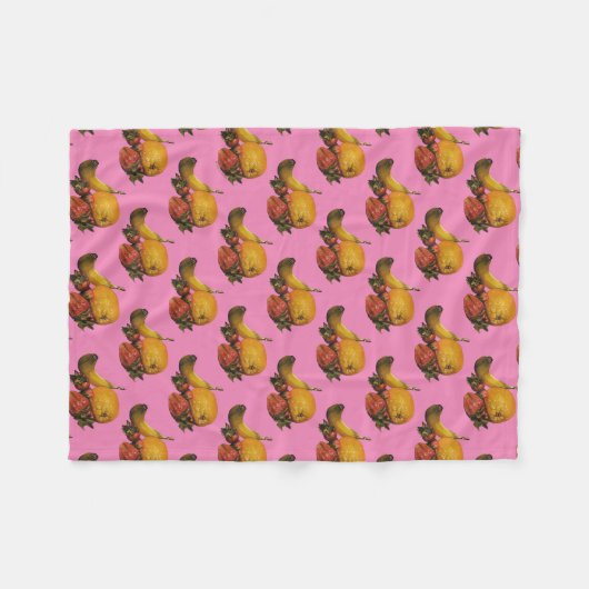 Frucht Fleece Blanket (Vorderseite (Horizontal))