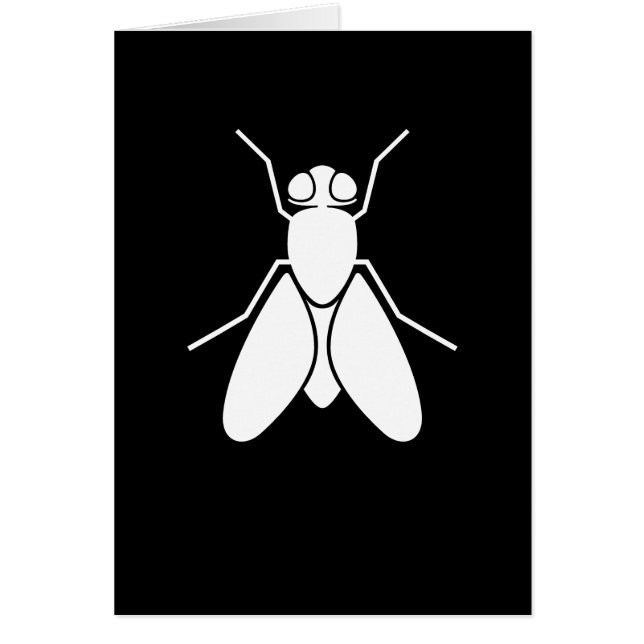 Frucht-Fliege (Vorne)