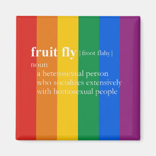 FRUCHT-FLIEGE MAGNET