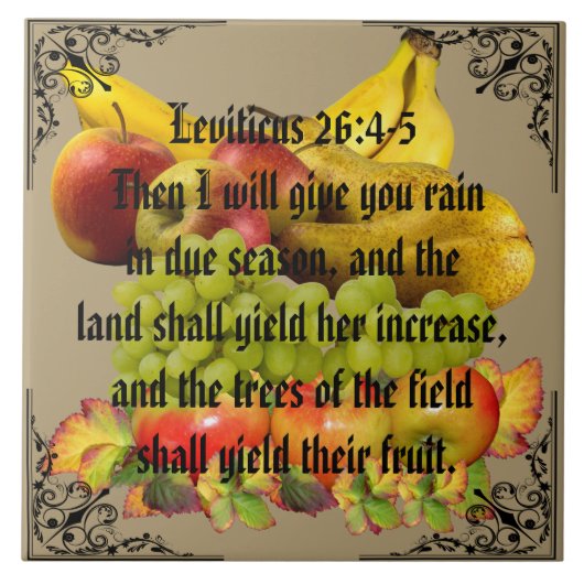 FRUCHT FLIESE (Vorderseite)