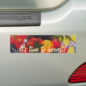 Frucht-u. Gemüse-Gemisch Autoaufkleber (Auf Auto)