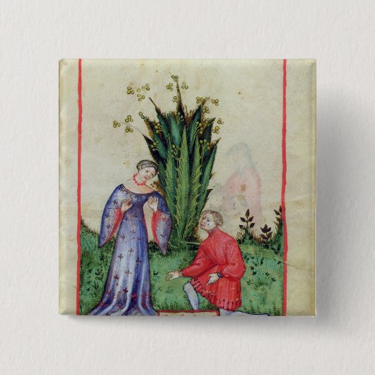 Frucht von Mandrake, from Tacuinum Sanitatis Button (Vorderseite)