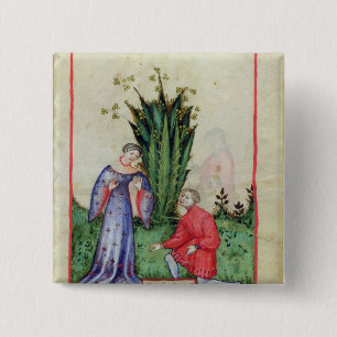 Frucht von Mandrake, from Tacuinum Sanitatis Button