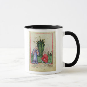 Frucht von Mandrake, from Tacuinum Sanitatis Tasse