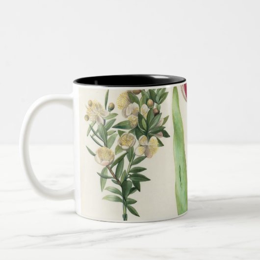 Frucht Zweifarbige Tasse (Links)