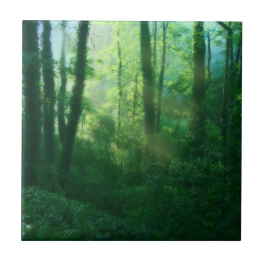 Fruchtbarkeitsdekorative Tile Fliese (Vorderseite)