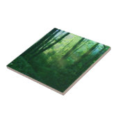 Fruchtbarkeitsdekorative Tile Fliese (Seite)