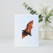 Fruchtbat (Fliegenfuchs) Postkarte (Stehend Vorderseite)