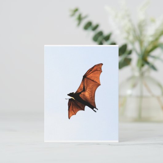 Fruchtbat (Fliegenfuchs) Postkarte (Stehend Vorderseite)
