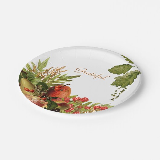 Früchte auf Papier-Tellern Pappteller (Schrägansicht)