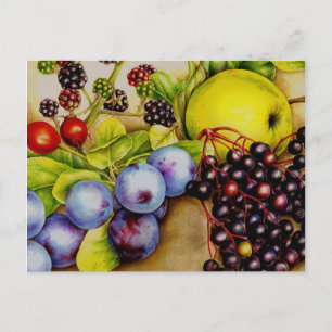 Früchte aus der Hedgerow fruchtig schöne Kunst Pos Postkarte