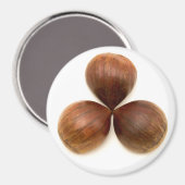 Früchte aus süßen Kastanien Magnet (Vorderseite/Rückseite)