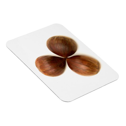 Früchte aus süßen Kastanien Magnet (Rechte Seite)