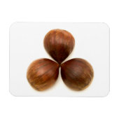 Früchte aus süßen Kastanien Magnet (Horizontal)