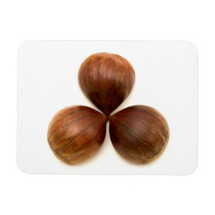 Früchte aus süßen Kastanien Magnet
