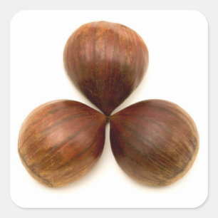 Früchte aus süßen Kastanien Quadratischer Aufkleber