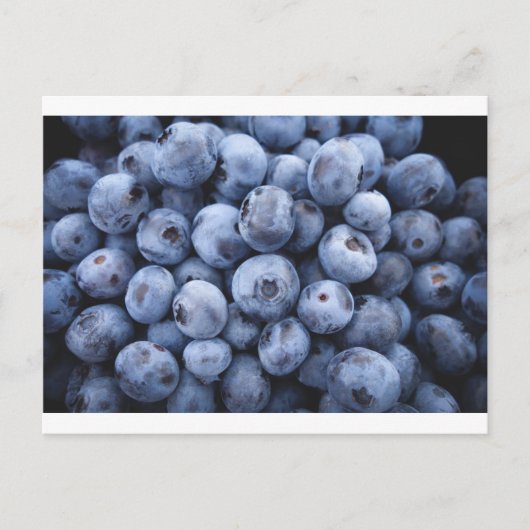 Früchte Blueberries Snack Obstbeeren Postkarte (Vorderseite)