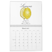 Früchte der Gesundheit (gesunde Spitzen Kalender (Mär 2027)