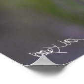 Früchte der Klarheit Poster (Ecke)