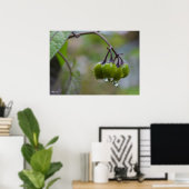 Früchte der Klarheit Poster (Heimbüro)