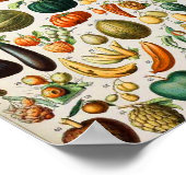 Früchte der Millot B Poster (Ecke)