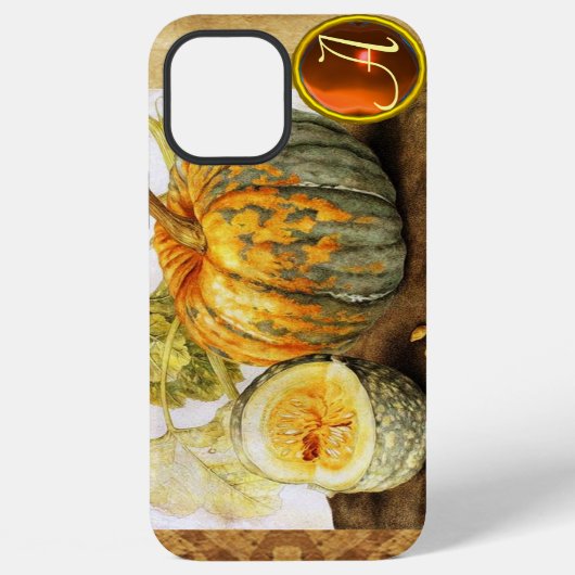 FRÜCHTE DER SAISON / KÜRBISSE MONOGRAMM iPhone HÜLLE (Rückseite)