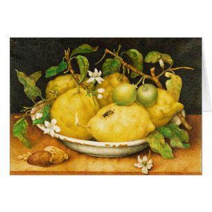FRÜCHTE DER SAISON LEMONEN UND WEISSE BLUMEN
