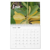 Früchte des Geistkalenders Kalender (Jan 2027)