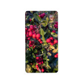 Früchte des Herbst Adressaufkleber (Vorne)