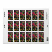 Früchte des Herbst Adressaufkleber (Vorne)