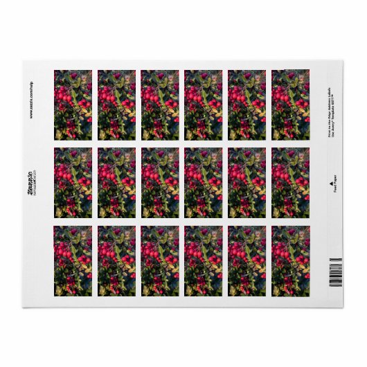 Früchte des Herbst Adressaufkleber (Vorne)