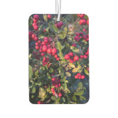 Früchte des Herbst Autolufterfrischer (Rückseite)