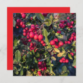 Früchte des Herbst Einladung (Vorne/Hinten)