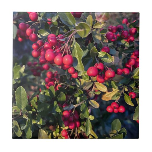 Früchte des Herbst Fliese (Vorderseite)